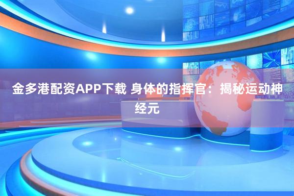 金多港配资APP下载 身体的指挥官：揭秘运动神经元