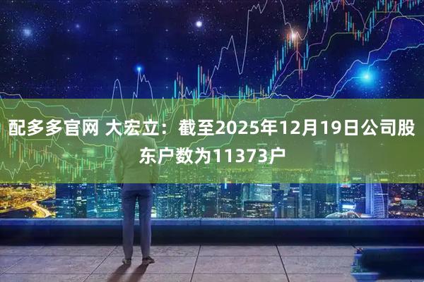 配多多官网 大宏立：截至2025年12月19日公司股东户数为11373户
