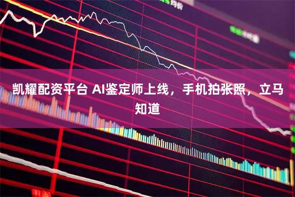 凯耀配资平台 AI鉴定师上线，手机拍张照，立马知道